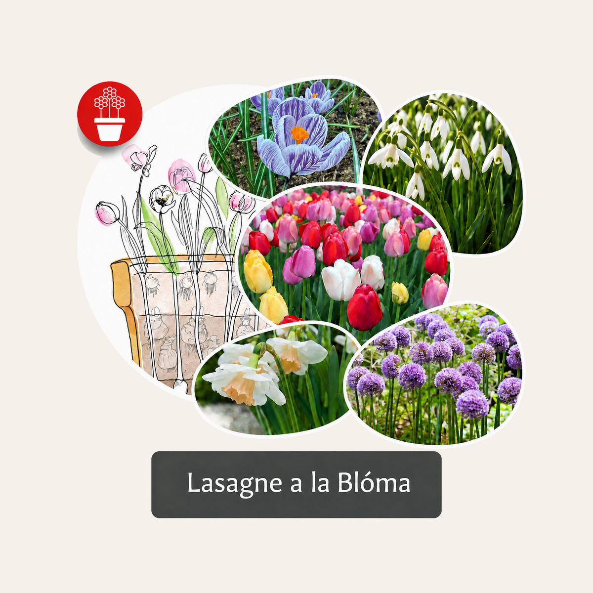 Haustlaukabox – Lasagne a la Blóma